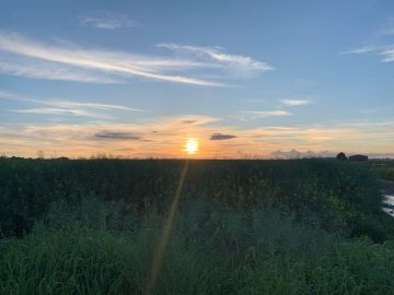 Je ne me lasserai jamais dans mon environnement au Le Perchay 🥰