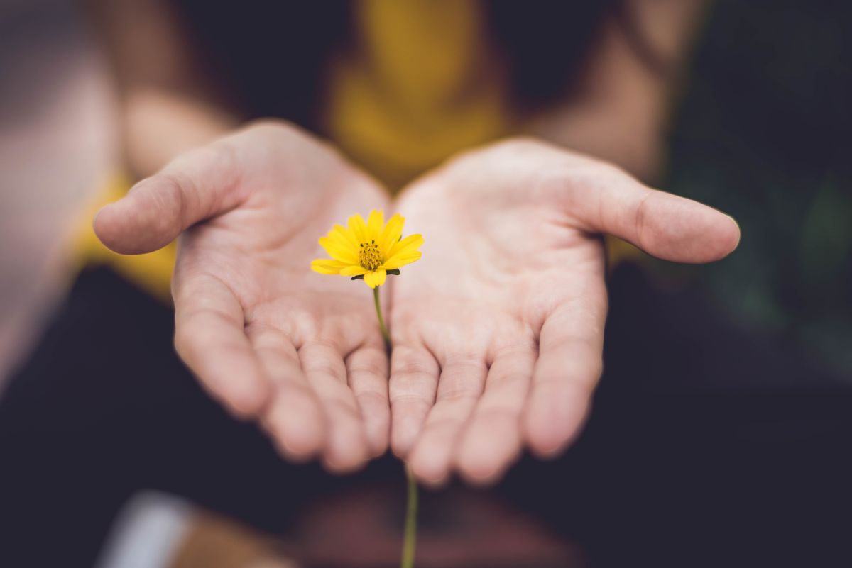 Comprendre stress et émotions